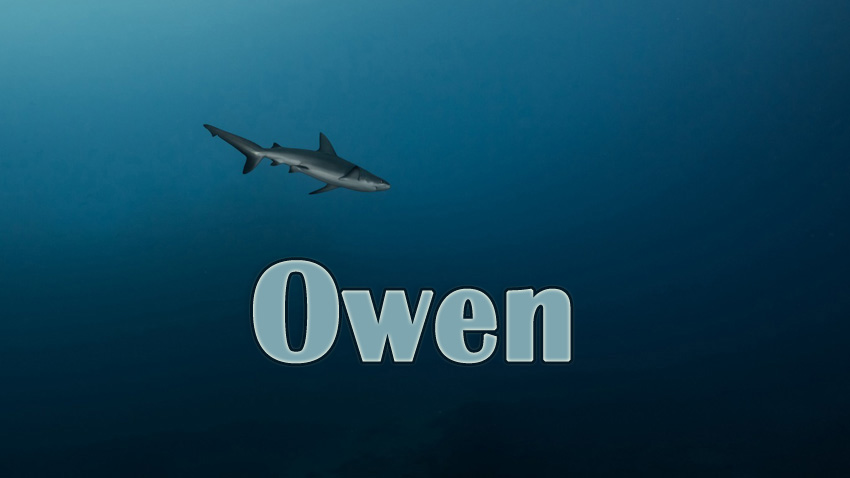 Pictures with names Owen Pictures with names Owen