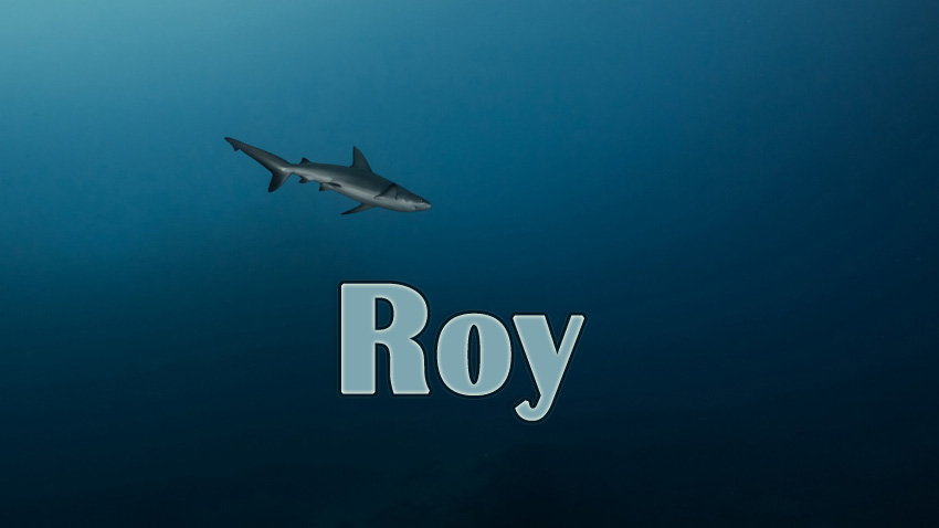 Pictures with names Roy Pictures with names Roy