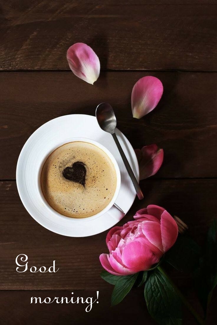 Pictures with names Good morning Pictures with names Good morning