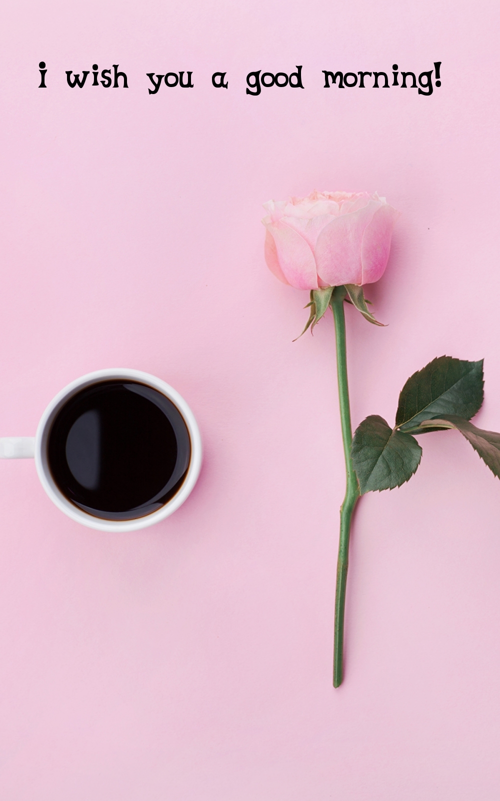 Pictures with names Good morning Pictures with names Good morning