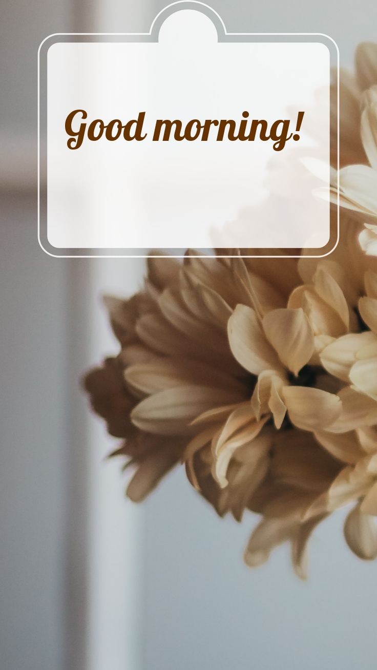 Pictures with names Good morning Pictures with names Good morning