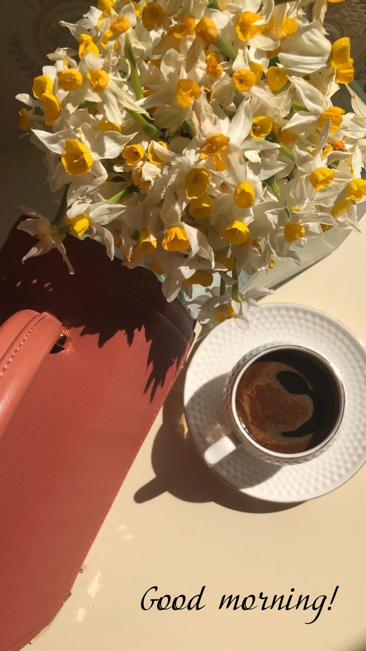 Pictures with names Good morning Pictures with names Good morning