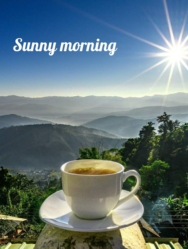 Pictures with names Good morning Pictures with names Good morning