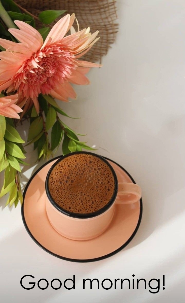 Pictures with names Good morning Pictures with names Good morning