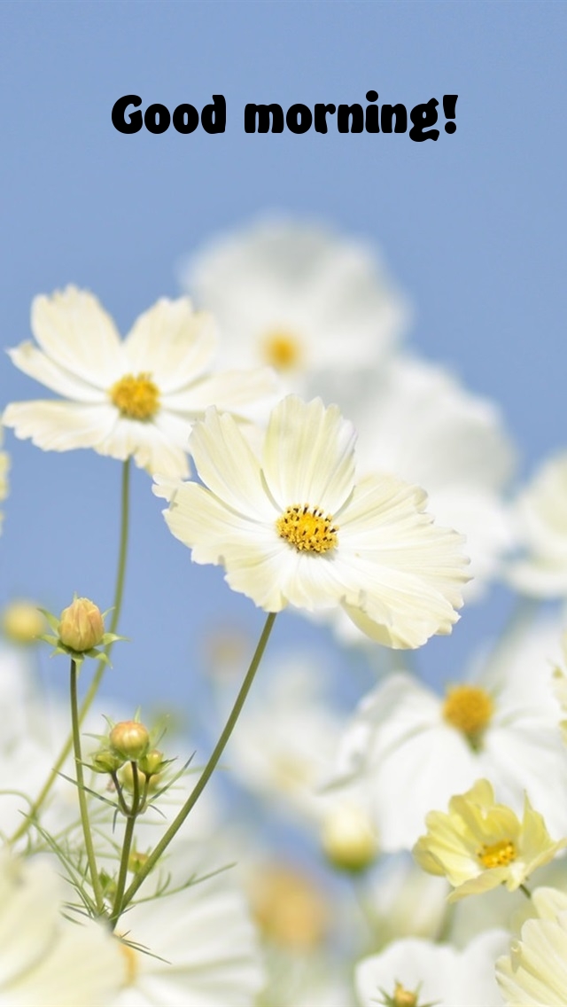 Pictures with names Good morning Pictures with names Good morning