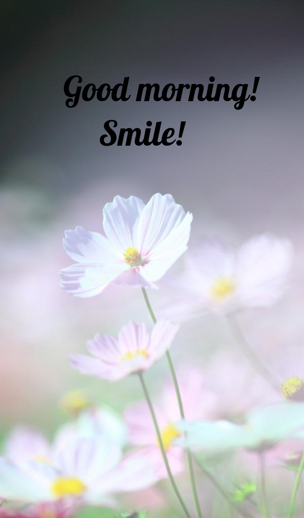 Pictures with names Good morning Pictures with names Good morning