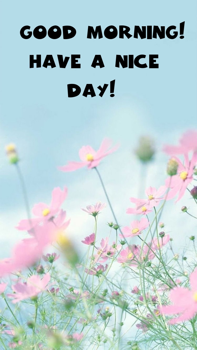 Pictures with names Good morning Pictures with names Good morning