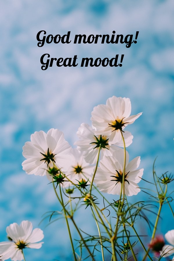 Pictures with names Good morning Pictures with names Good morning