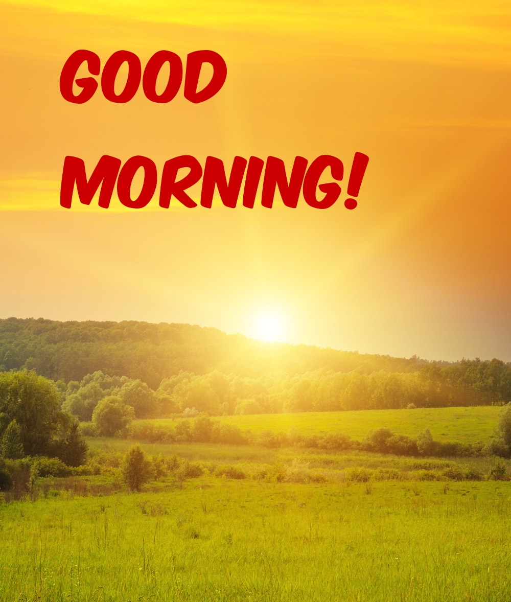 Pictures with names Good morning Pictures with names Good morning