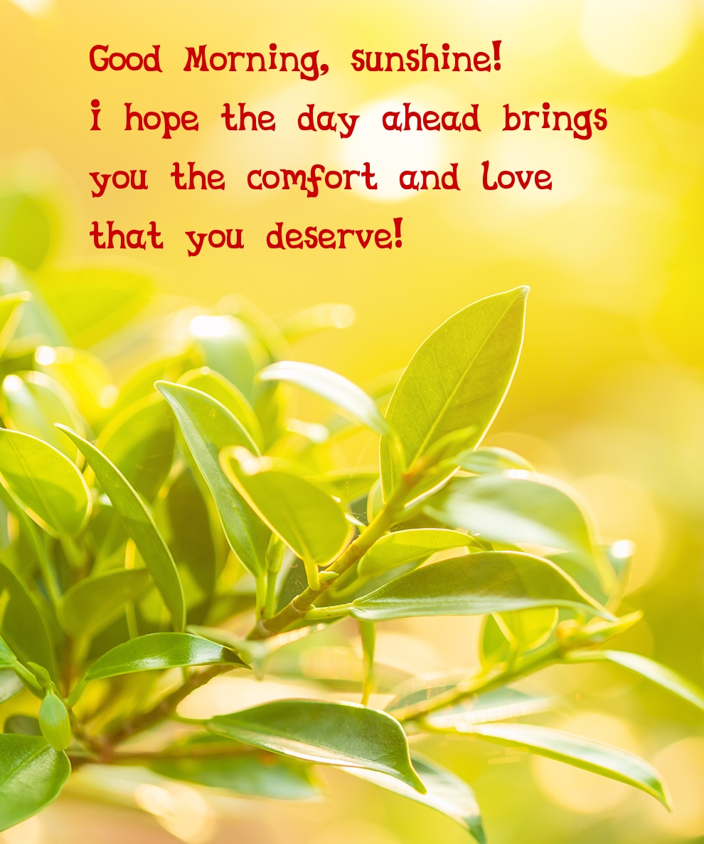 Pictures with names Good morning Pictures with names Good morning