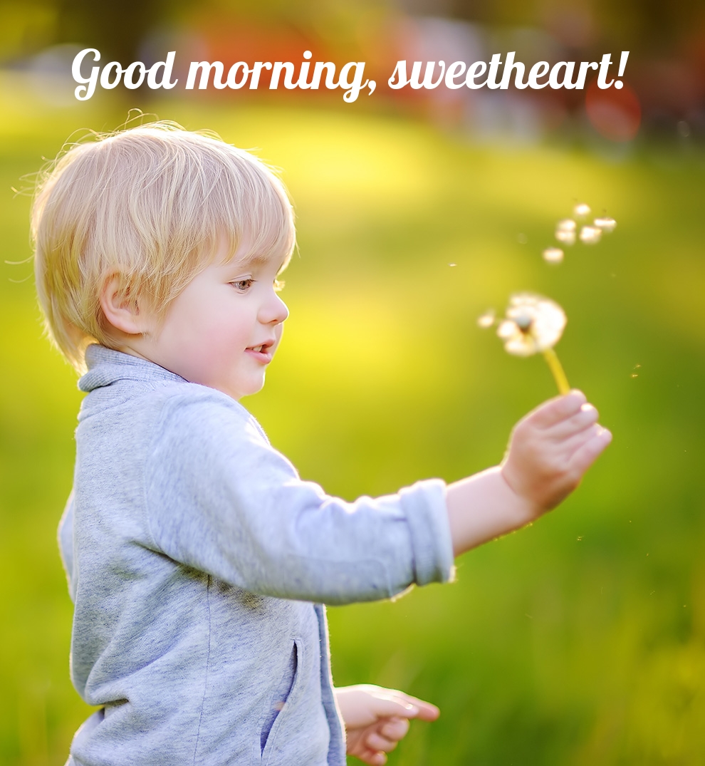 Pictures with names Good morning Pictures with names Good morning