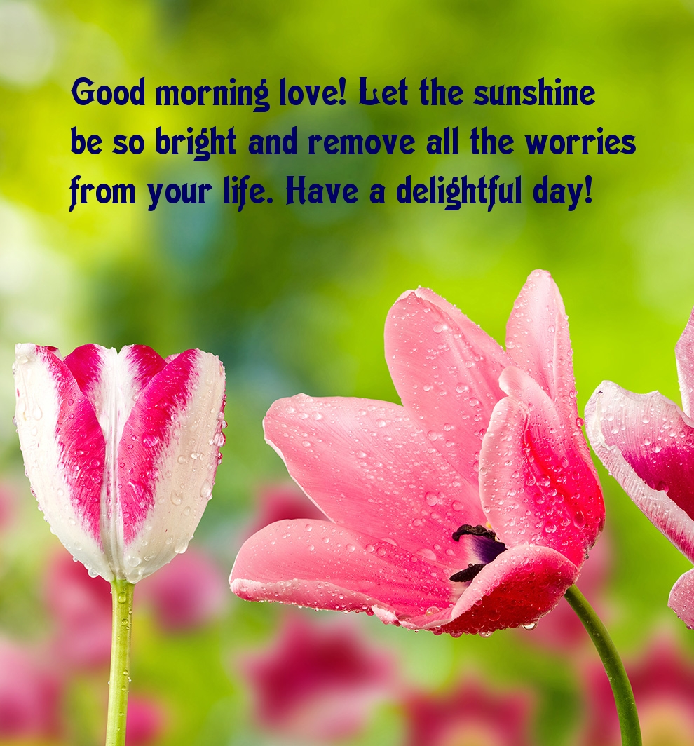 Pictures with names Good morning Pictures with names Good morning