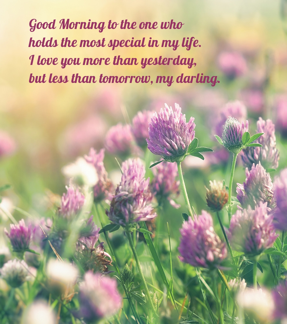 Pictures with names Good morning Pictures with names Good morning