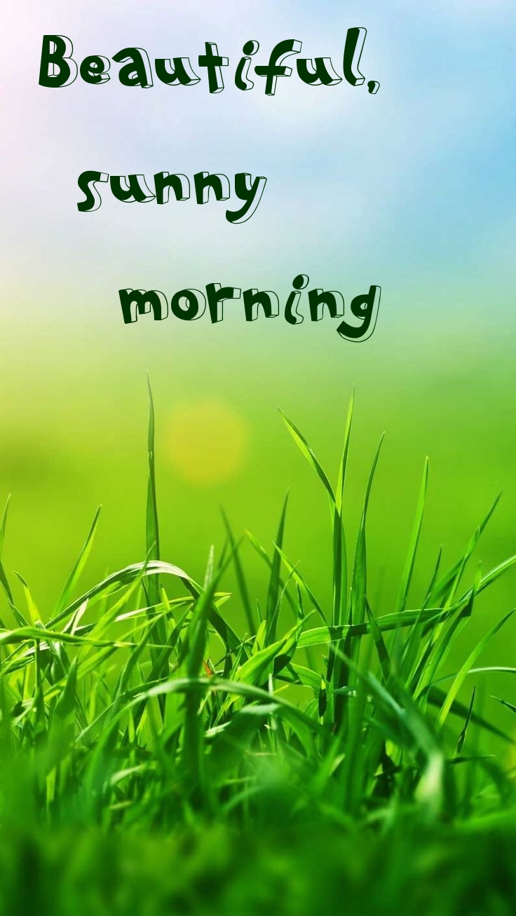 Pictures with names Good morning Pictures with names Good morning