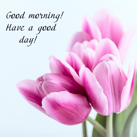 Pictures with names Good morning Pictures with names Good morning