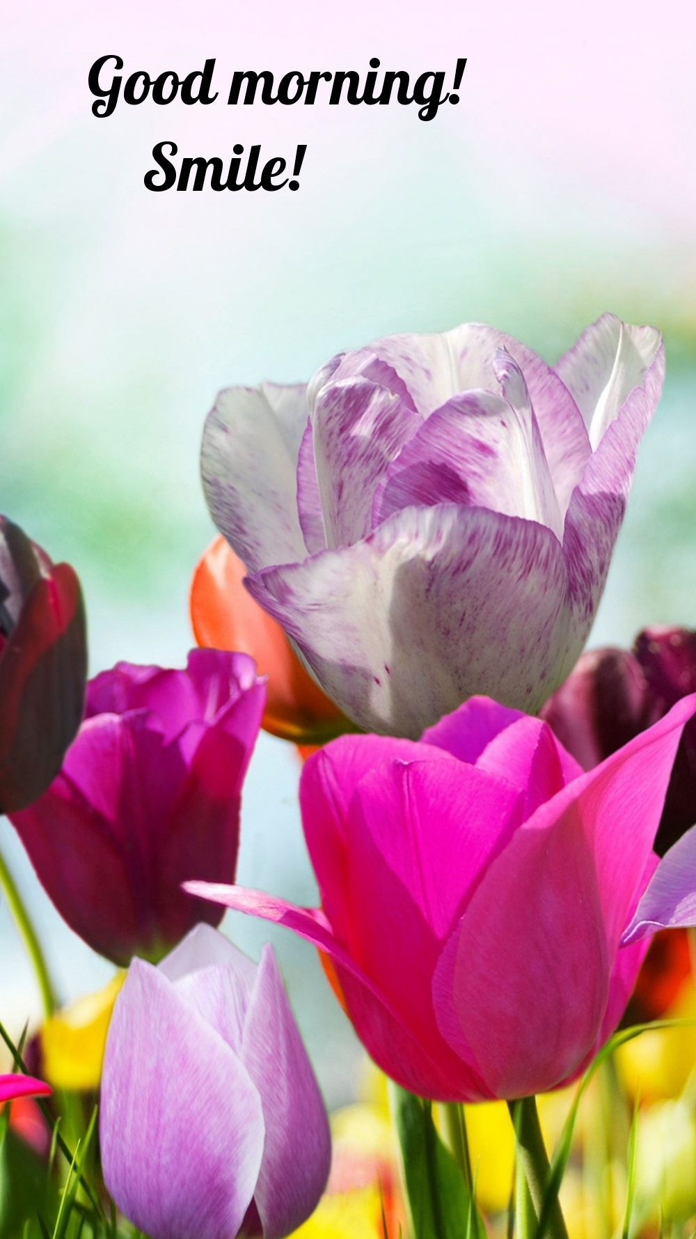 Pictures with names Good morning Pictures with names Good morning