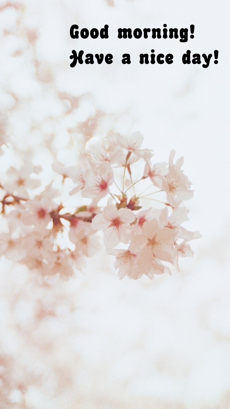 Pictures with names Good morning Pictures with names Good morning