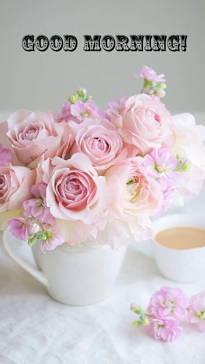 Pictures with names Good morning Pictures with names Good morning