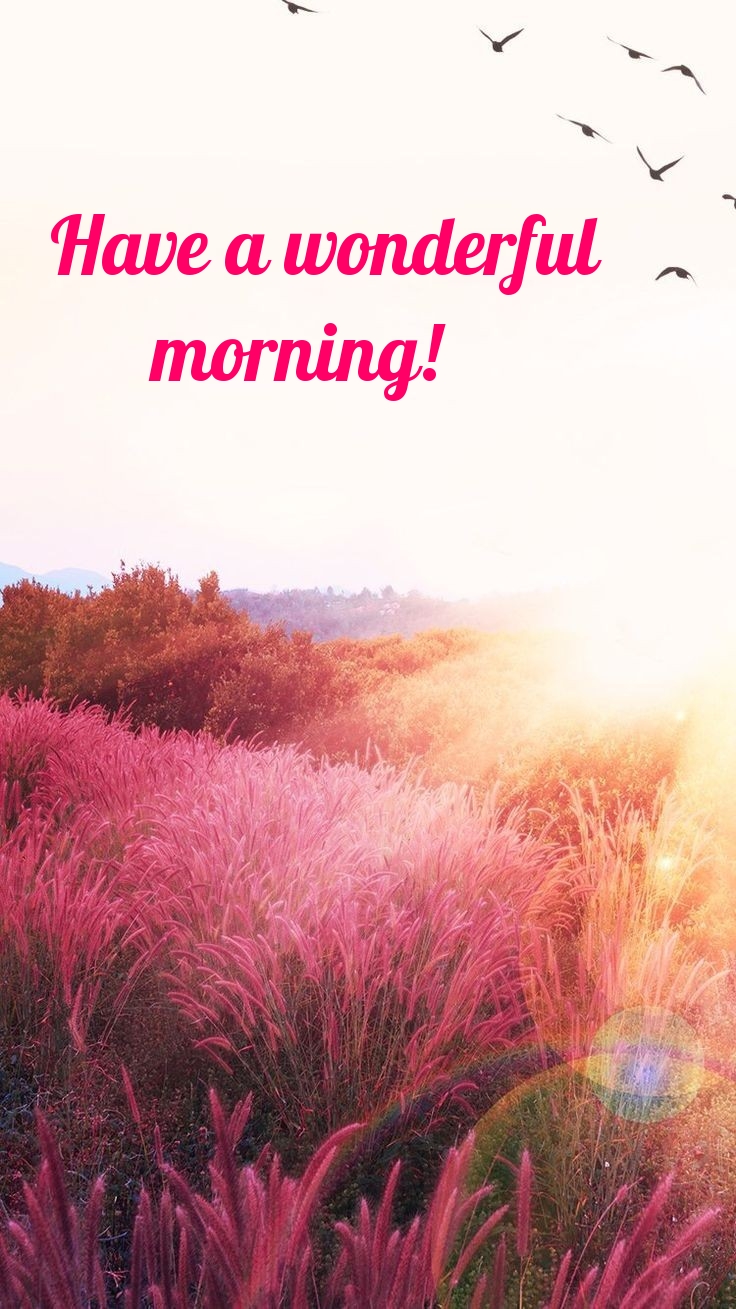 Pictures with names Good morning Pictures with names Good morning