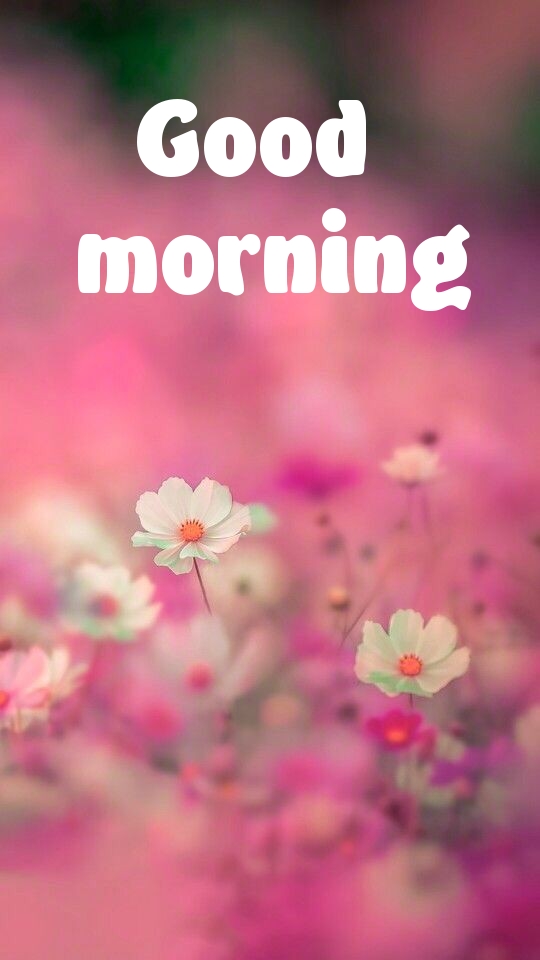 Pictures with names Good morning Pictures with names Good morning