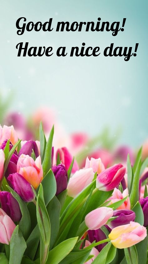 Pictures with names Good morning Pictures with names Good morning