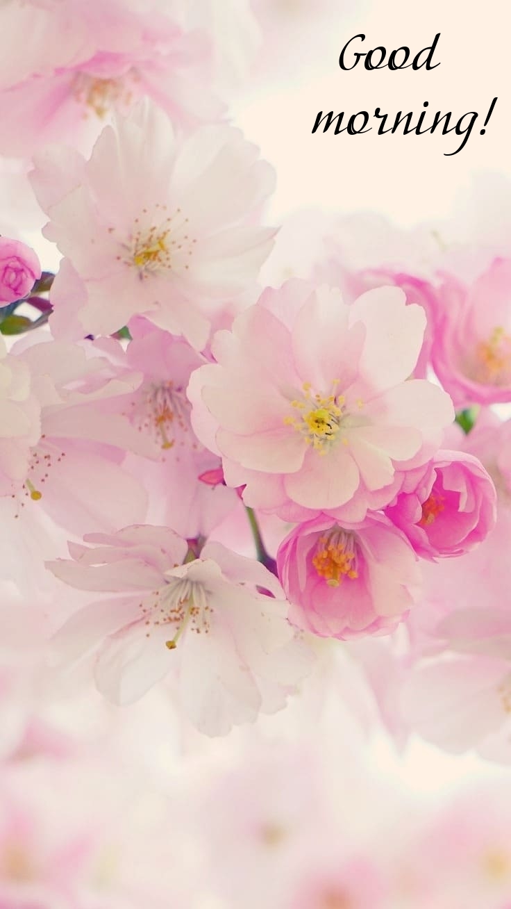 Pictures with names Good morning Pictures with names Good morning