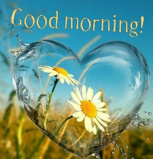 Pictures with names Good morning Pictures with names Good morning