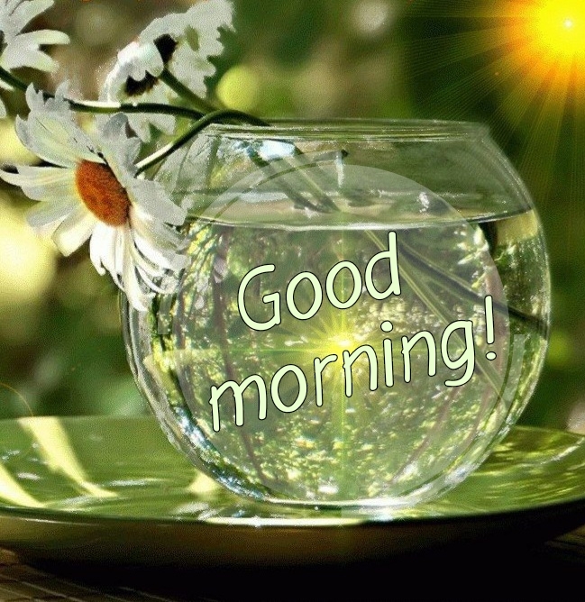 Pictures with names Good morning Pictures with names Good morning