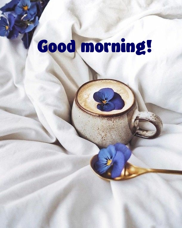 Pictures with names Good morning Pictures with names Good morning