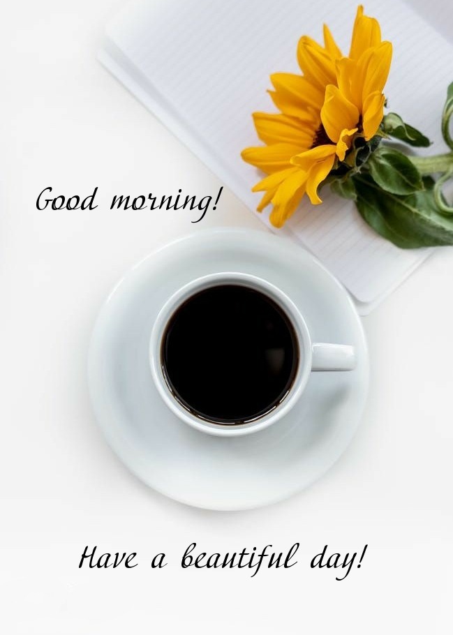 Pictures with names Good morning Pictures with names Good morning