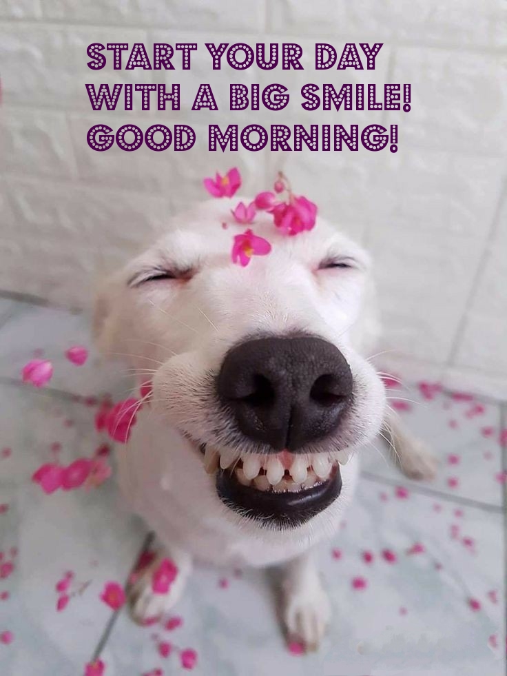 Pictures with names Good morning Pictures with names Good morning