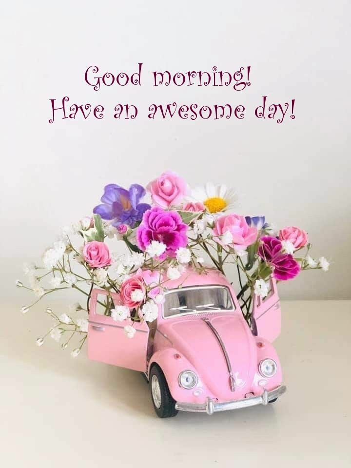 Pictures with names Good morning Pictures with names Good morning