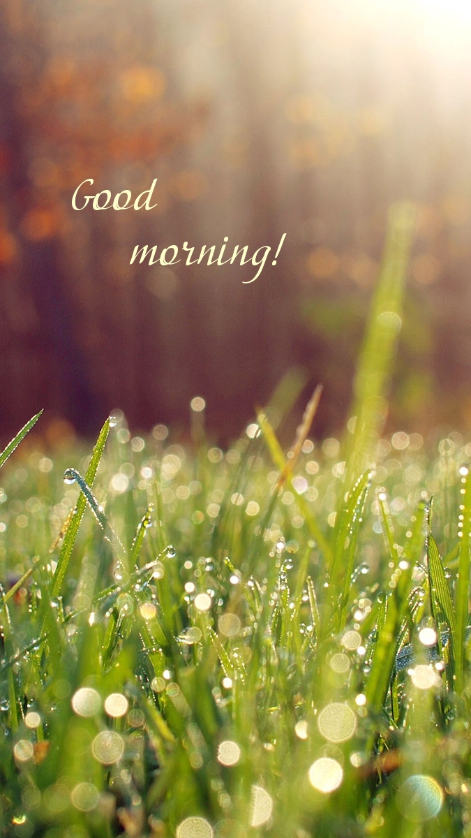 Pictures with names Good morning Pictures with names Good morning