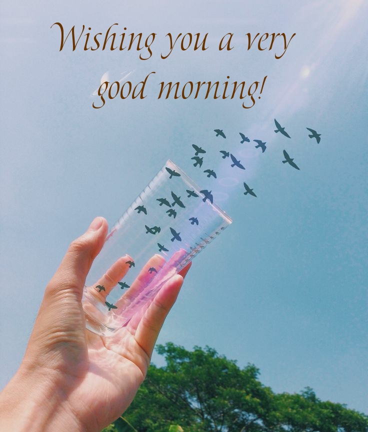 Pictures with names Good morning Pictures with names Good morning