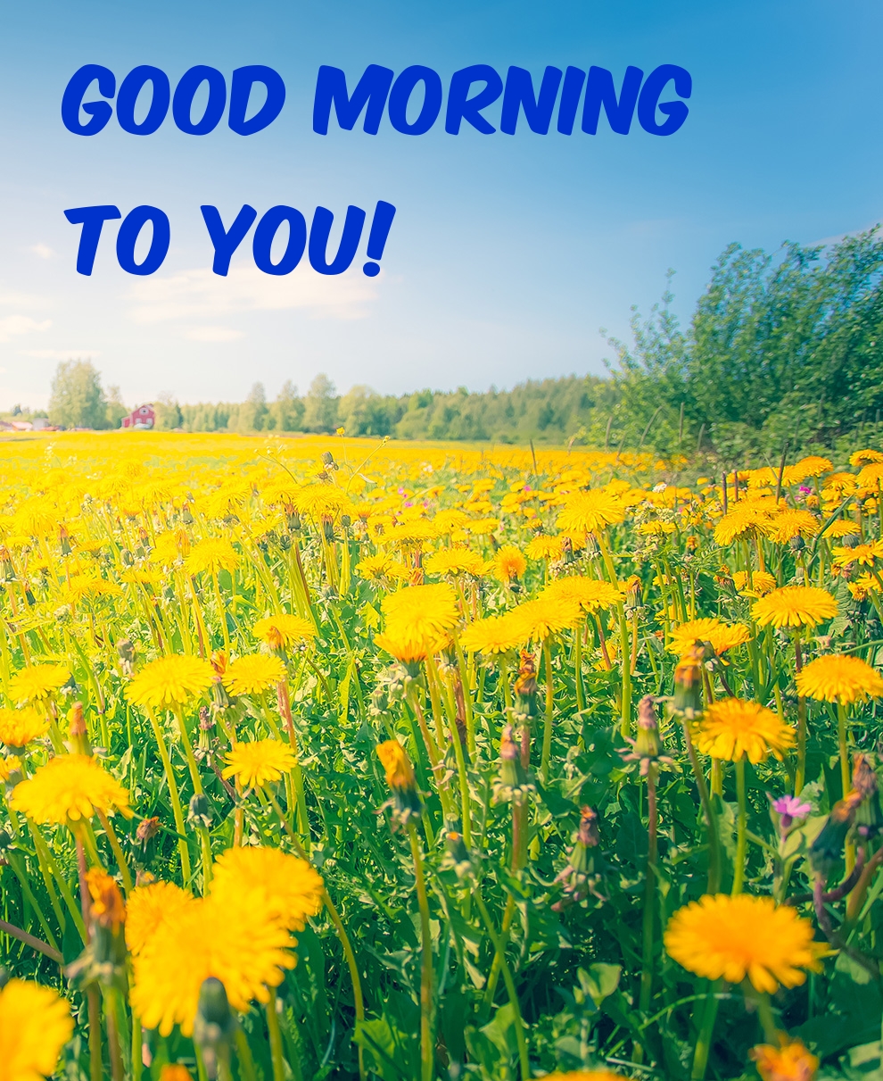 Pictures with names Good morning Pictures with names Good morning