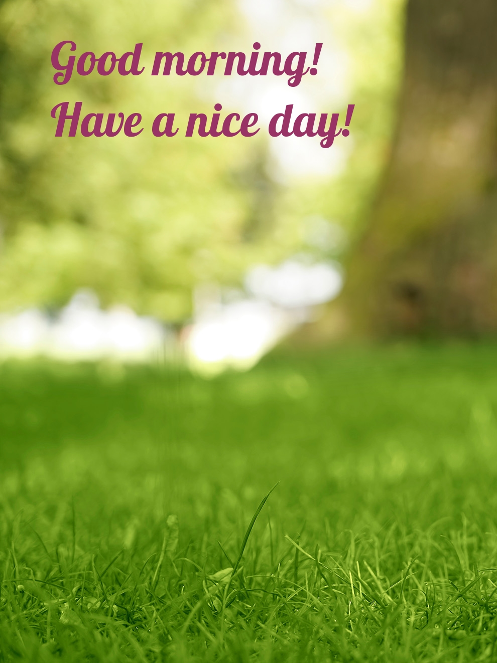 Pictures with names Good morning Pictures with names Good morning