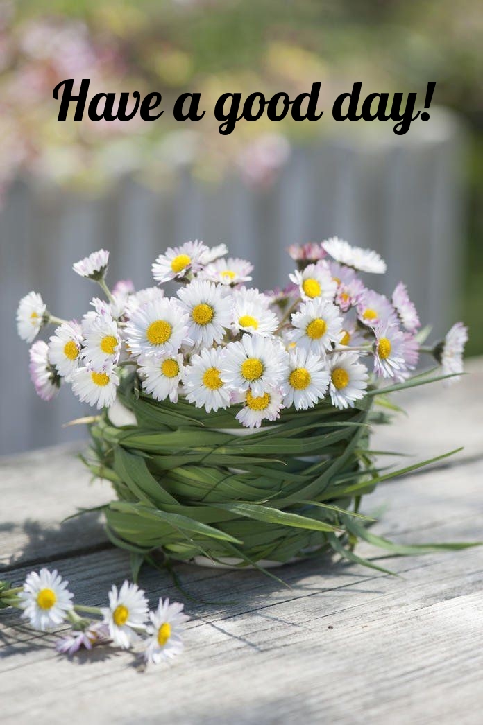 Pictures with names Good day Pictures with names Good day