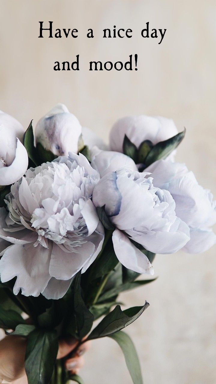 Pictures with names Good day Pictures with names Good day