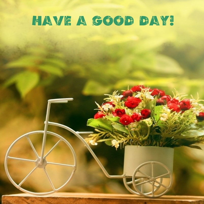 Pictures with names Good day Pictures with names Good day