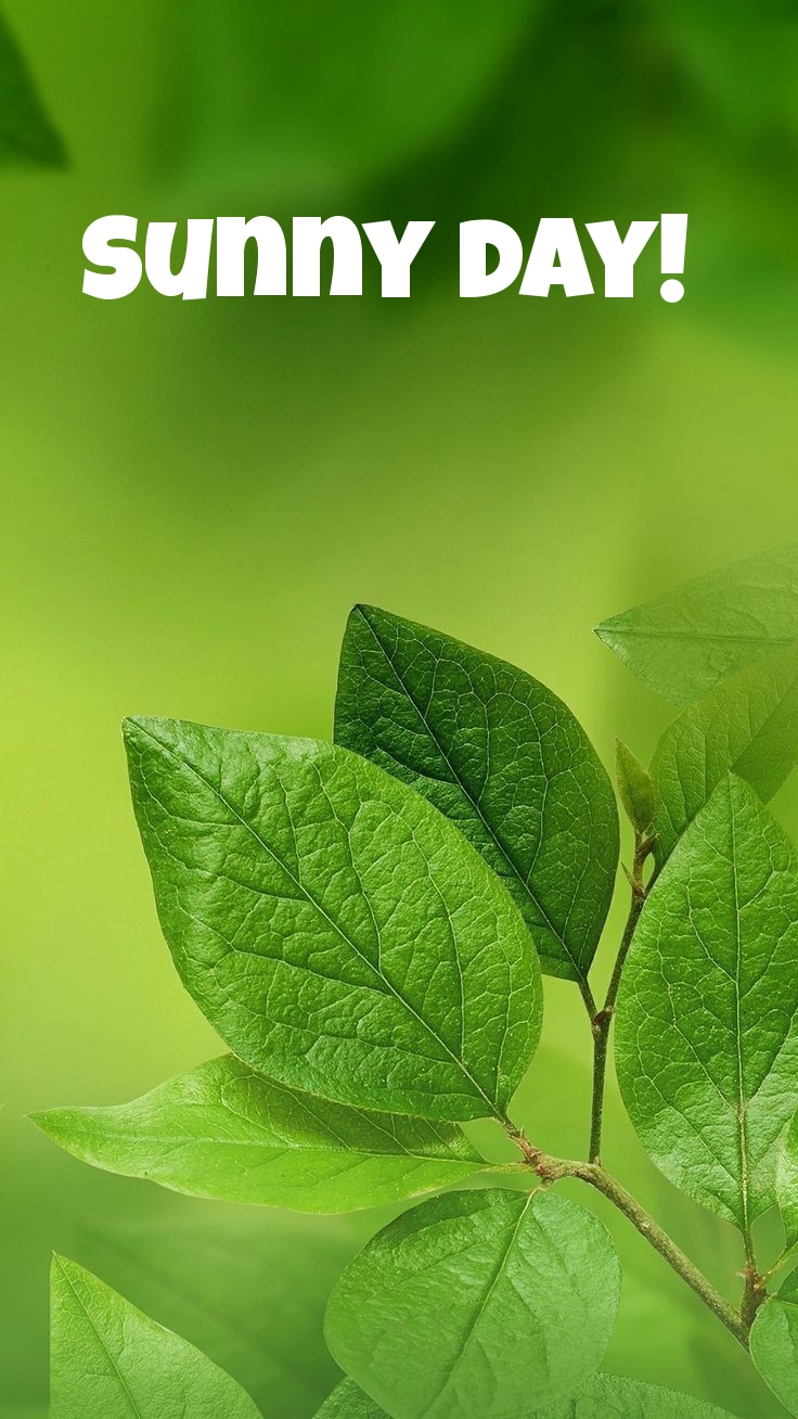 Pictures with names Good day Pictures with names Good day