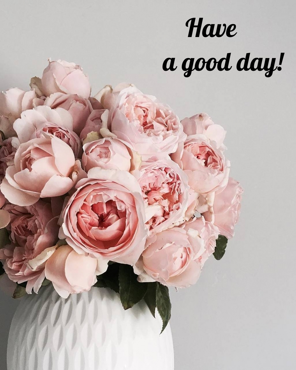 Pictures with names Good day Pictures with names Good day