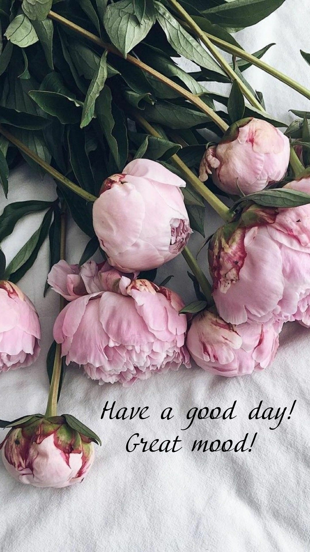 Pictures with names Good day Pictures with names Good day