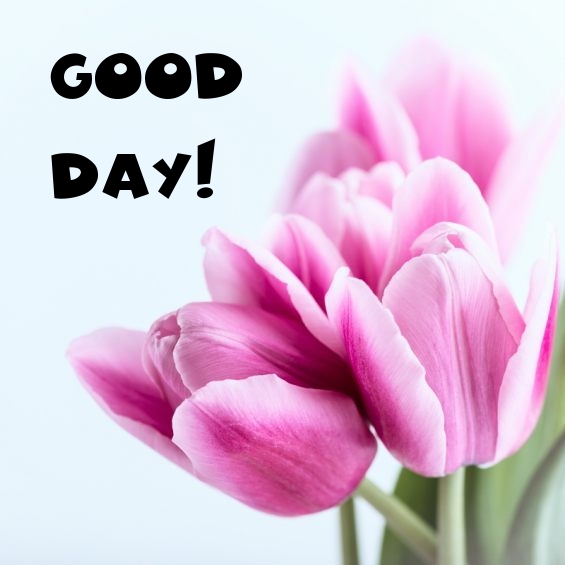 Pictures with names Good day Pictures with names Good day