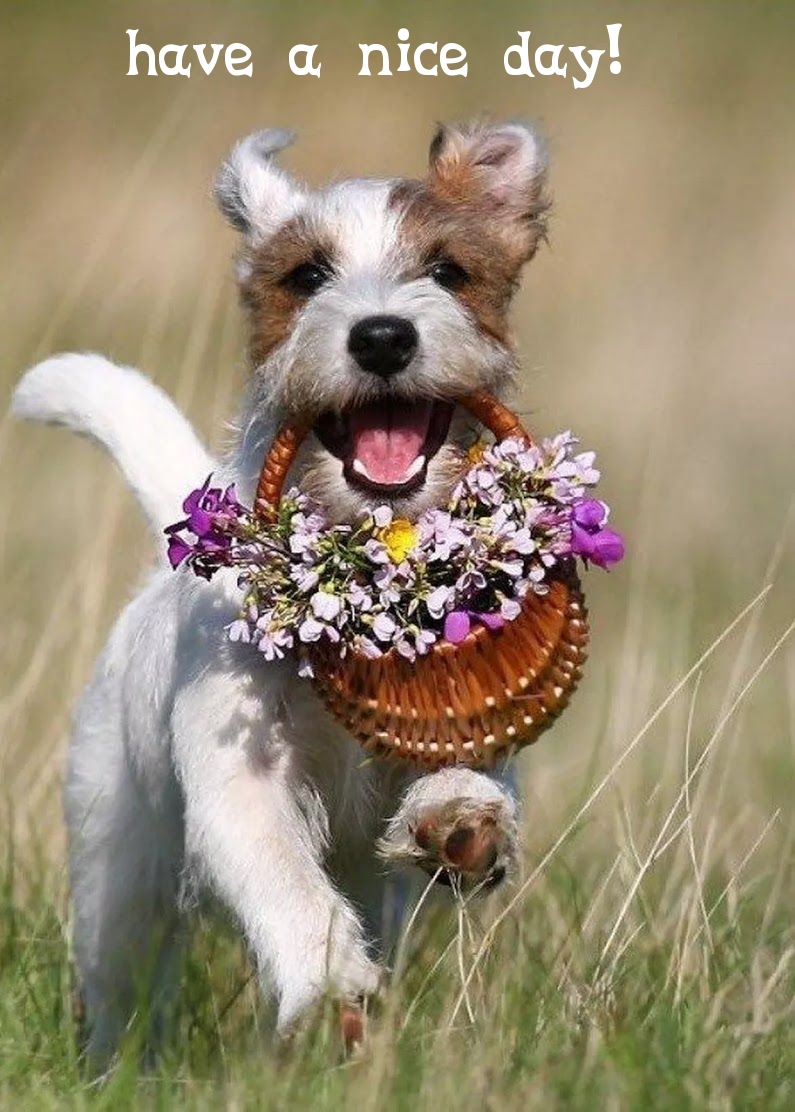 Pictures with names Good day Pictures with names Good day