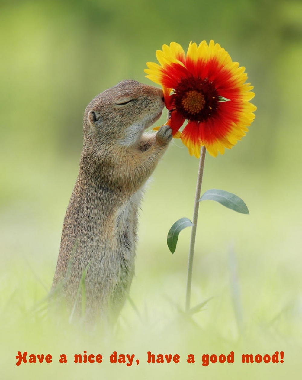 Pictures with names Good day Pictures with names Good day