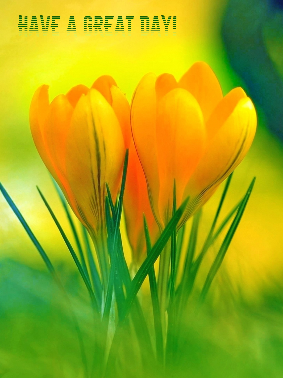 Pictures with names Good day Pictures with names Good day