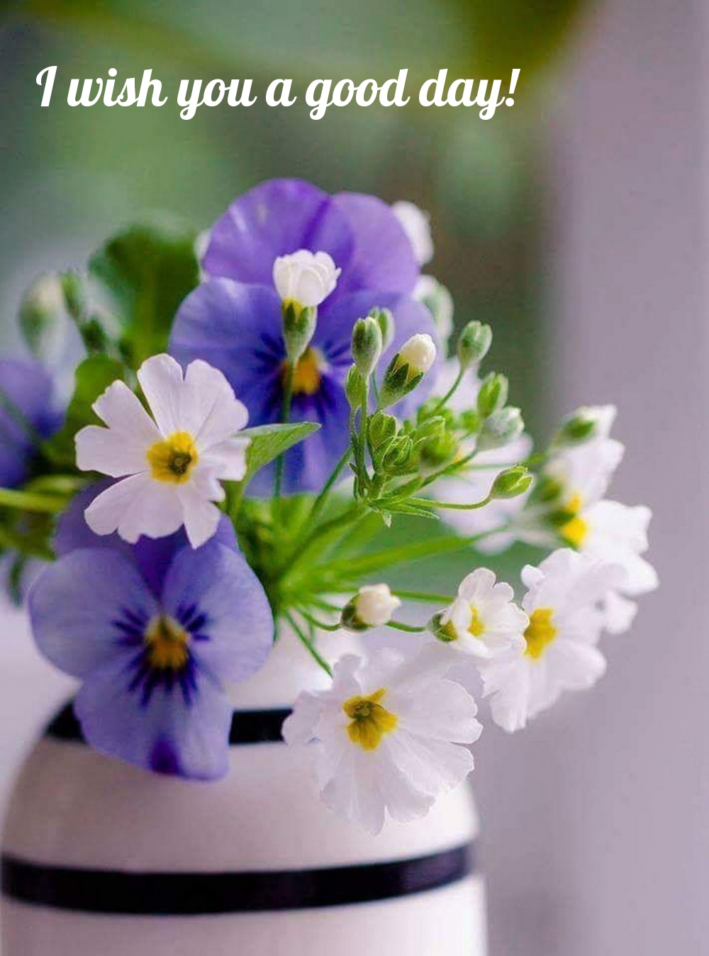 Pictures with names Good day Pictures with names Good day