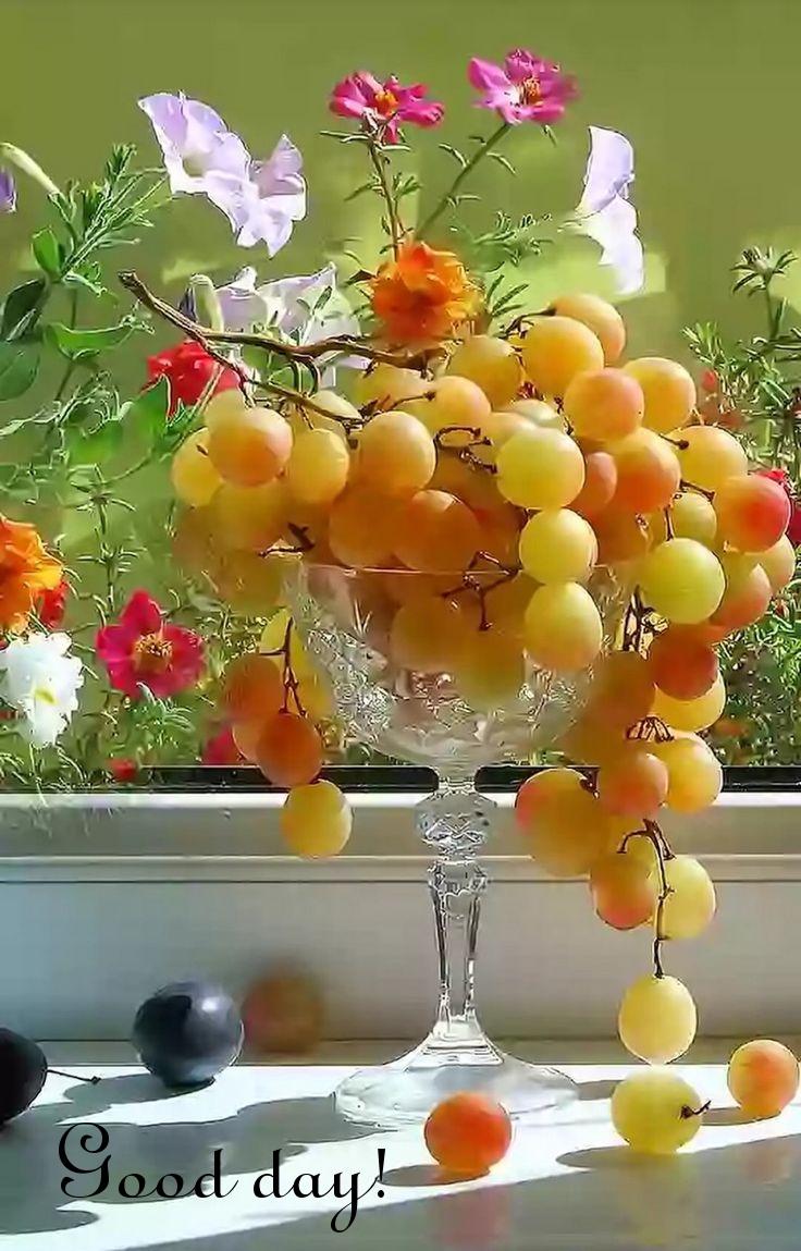 Pictures with names Good day Pictures with names Good day