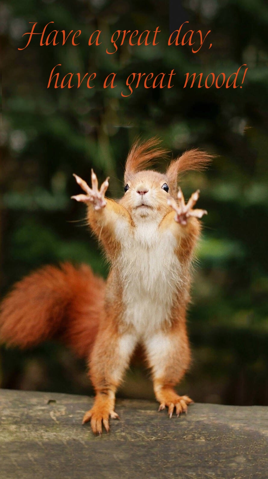 Pictures with names Good day Pictures with names Good day