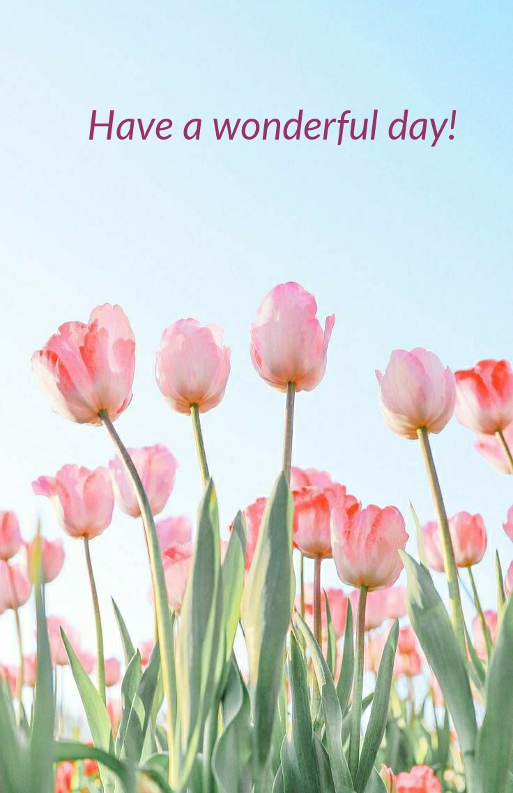 Pictures with names Good day Pictures with names Good day